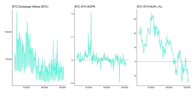 Crypto Market Compass OnChain Indicators