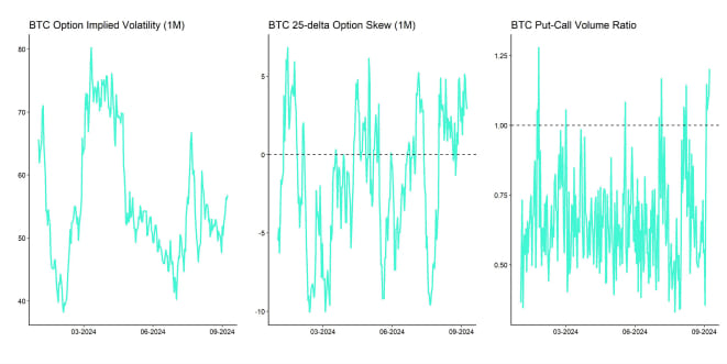 Crypto Market Compass Option Indicators