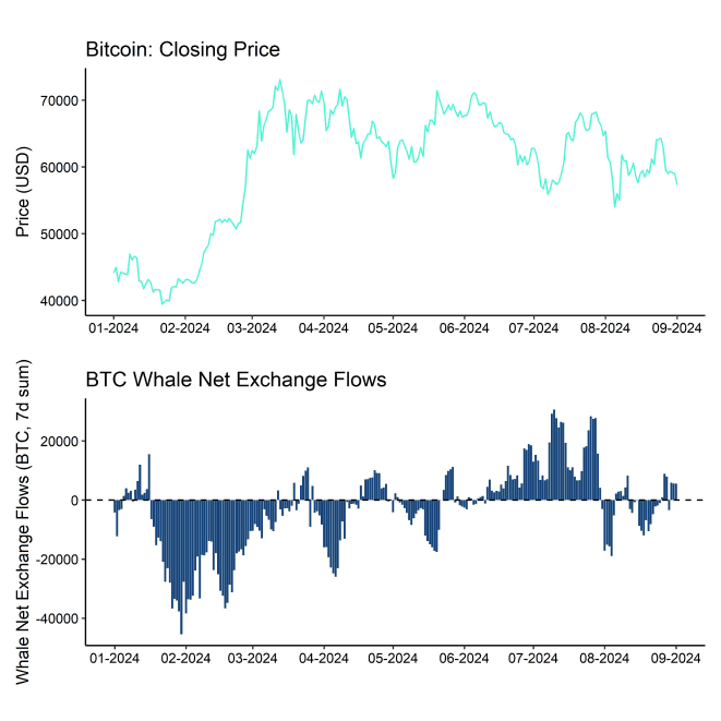 BTC Price vs Whale Net Exchange Flows