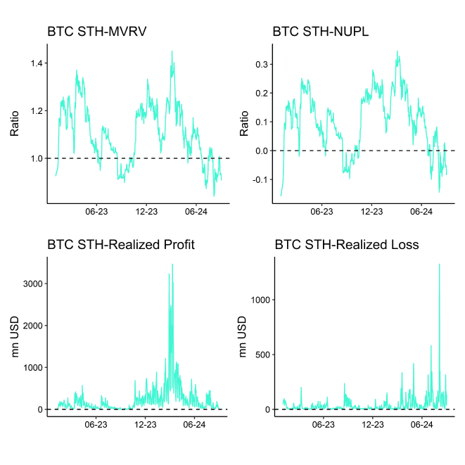 Bitcoin STH Dashboard