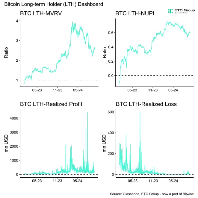 Bitcoin LTH Dashboard