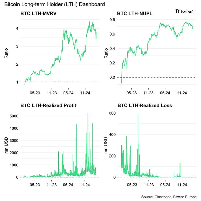 Bitcoin LTH Dashboard