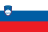 Slovenija flag
